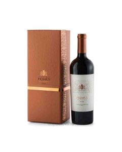 Estuche Salentein Primus Malbec
